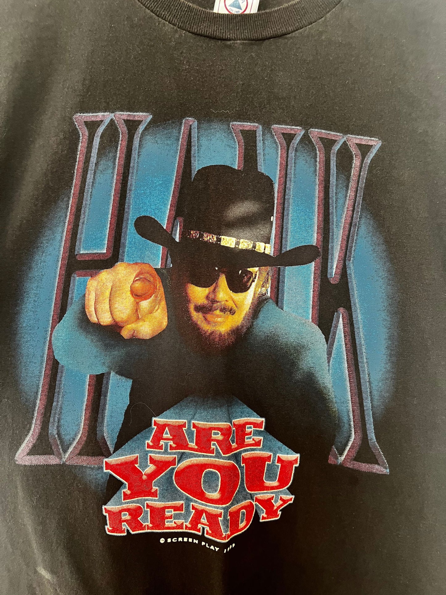 1999 Hank Williams Are You Ready Tour Tee Size- L - LFDW