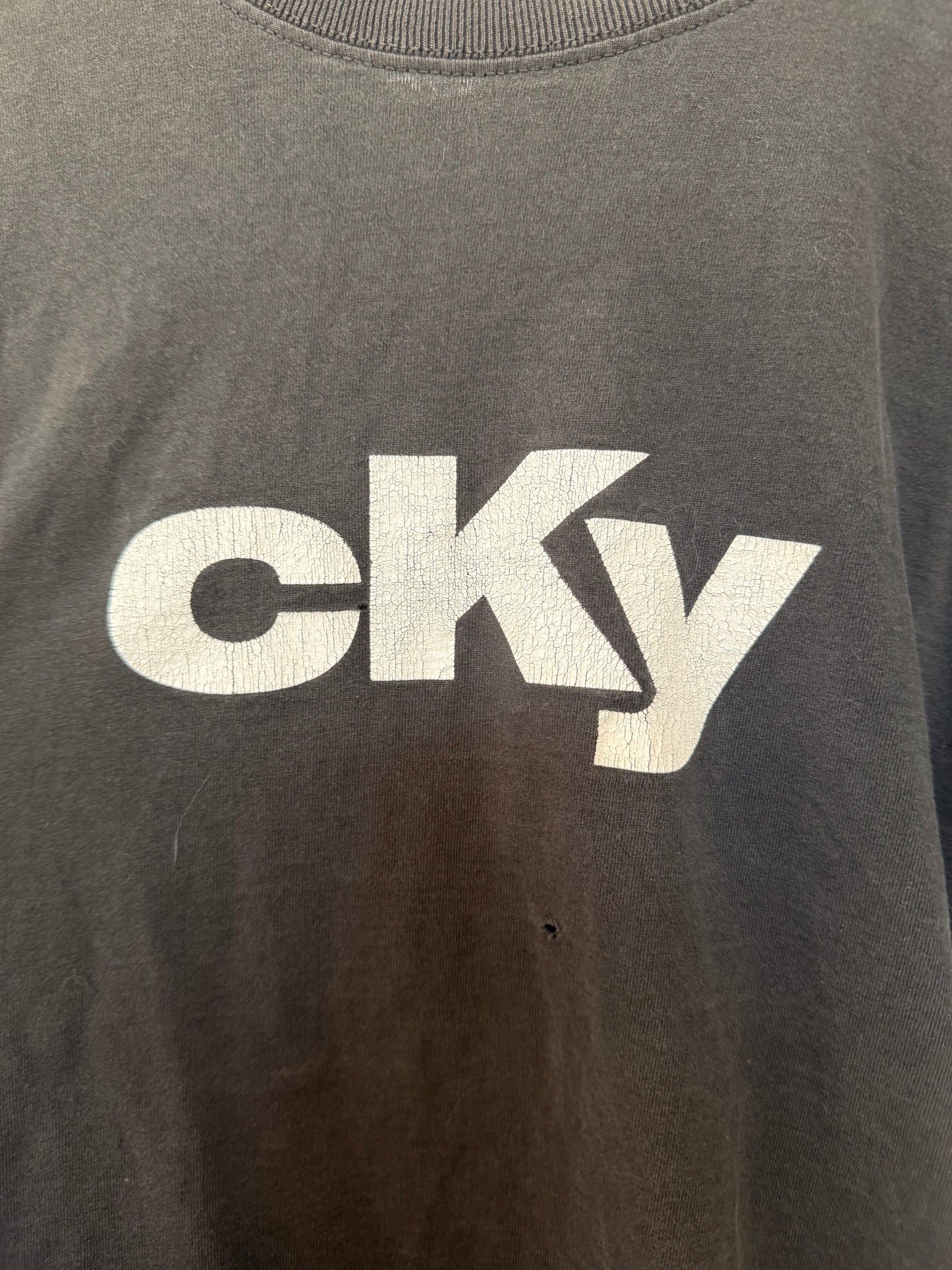 Y2K CKY Tee Size- L LFDW