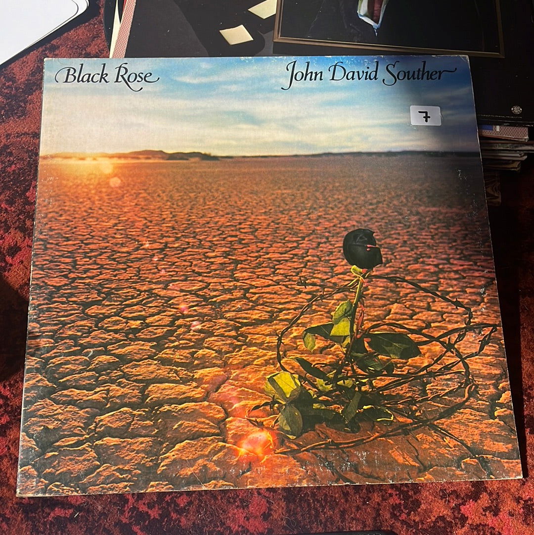 John david souther record - LFDW