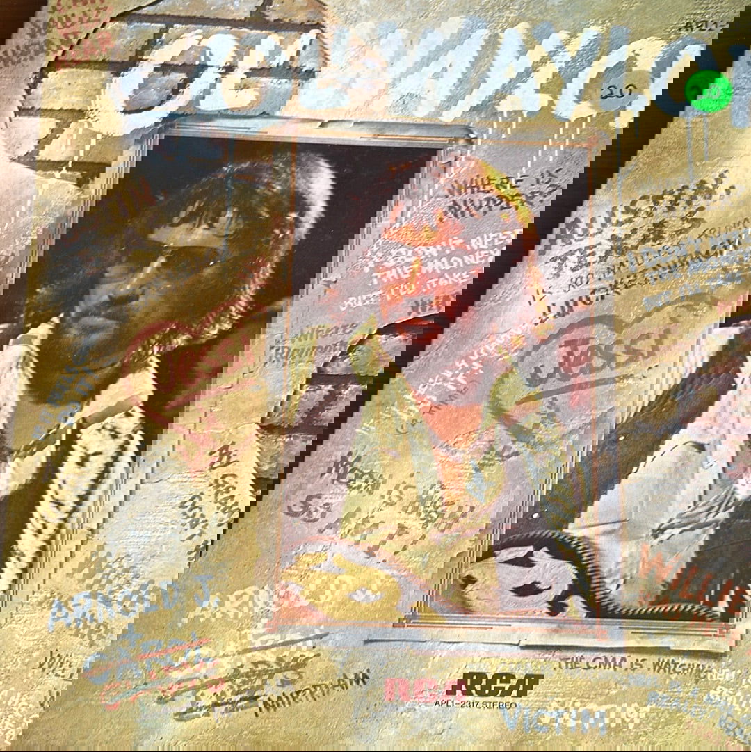 Ol Waylon - LFDW