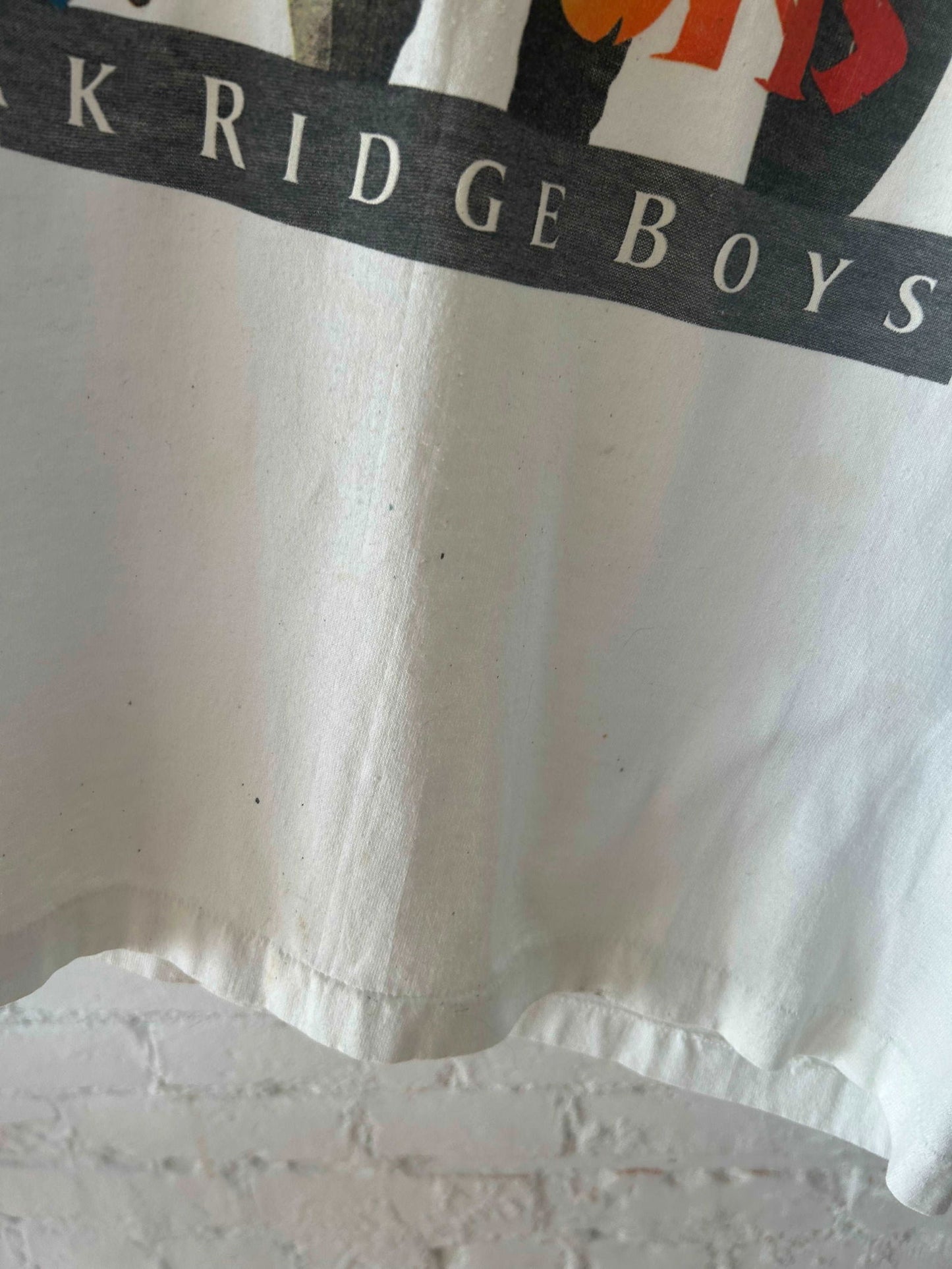 1980s Oak Ridge Bots Seasons Tee Size - L - LFDW