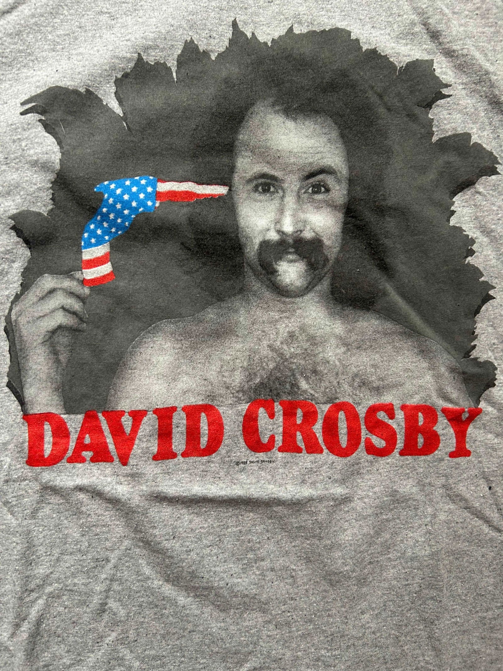 1989 David Crosby T Shirt Size - L - LFDW