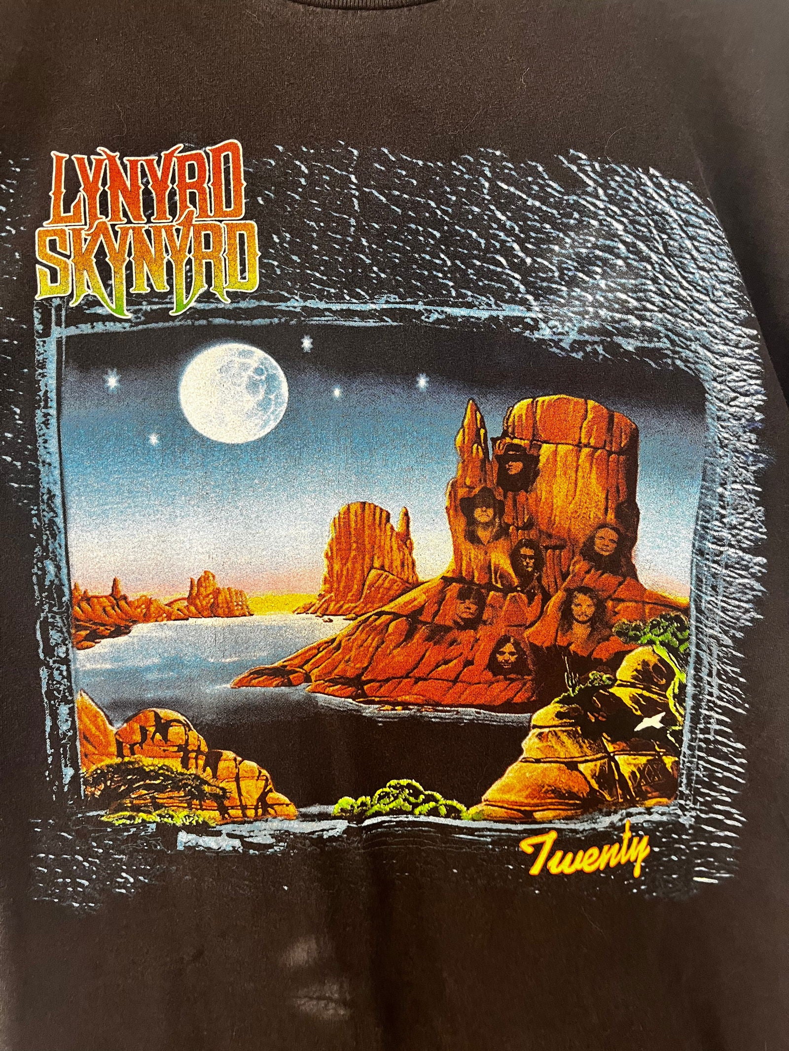 1990’s Lynyrd Skynyrd Twenty Tee Size- XL - LFDW