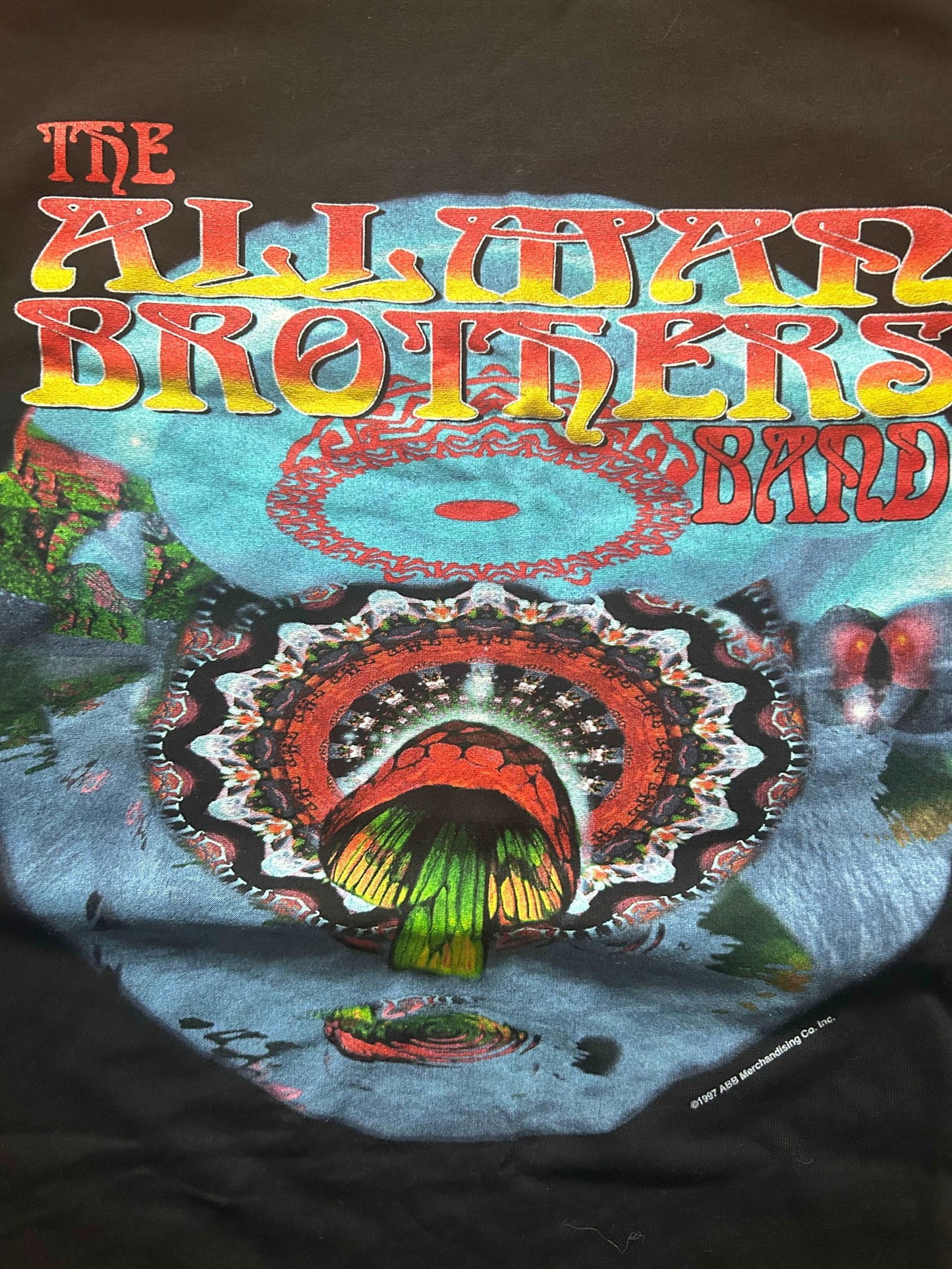 1997 Allman Brothers Tour Tee Size - Xl - LFDW