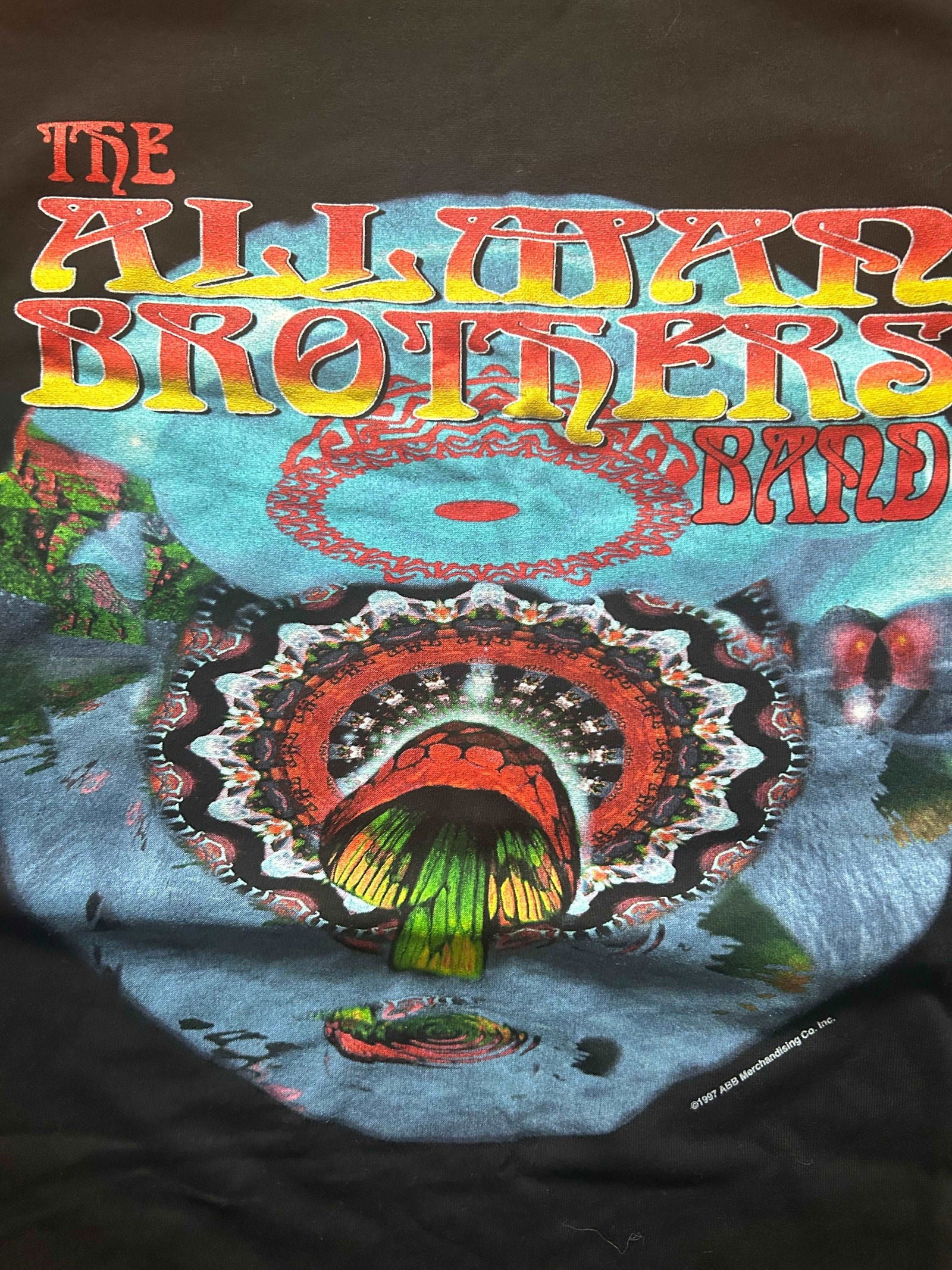 1997 Allman Brothers Tour Tee Size - Xl - LFDW