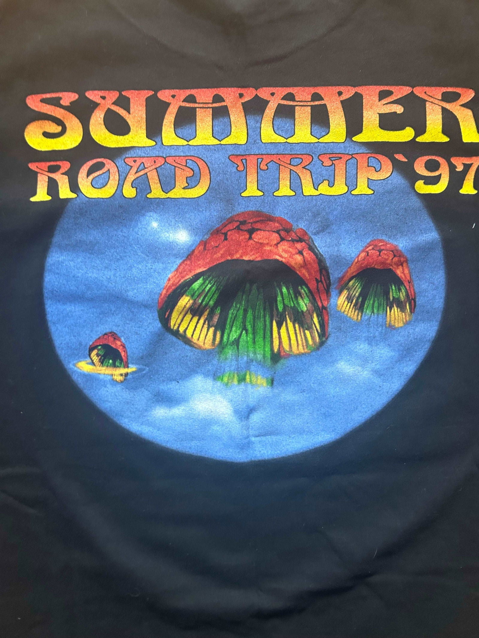 1997 Allman Brothers Tour Tee Size - Xl - LFDW