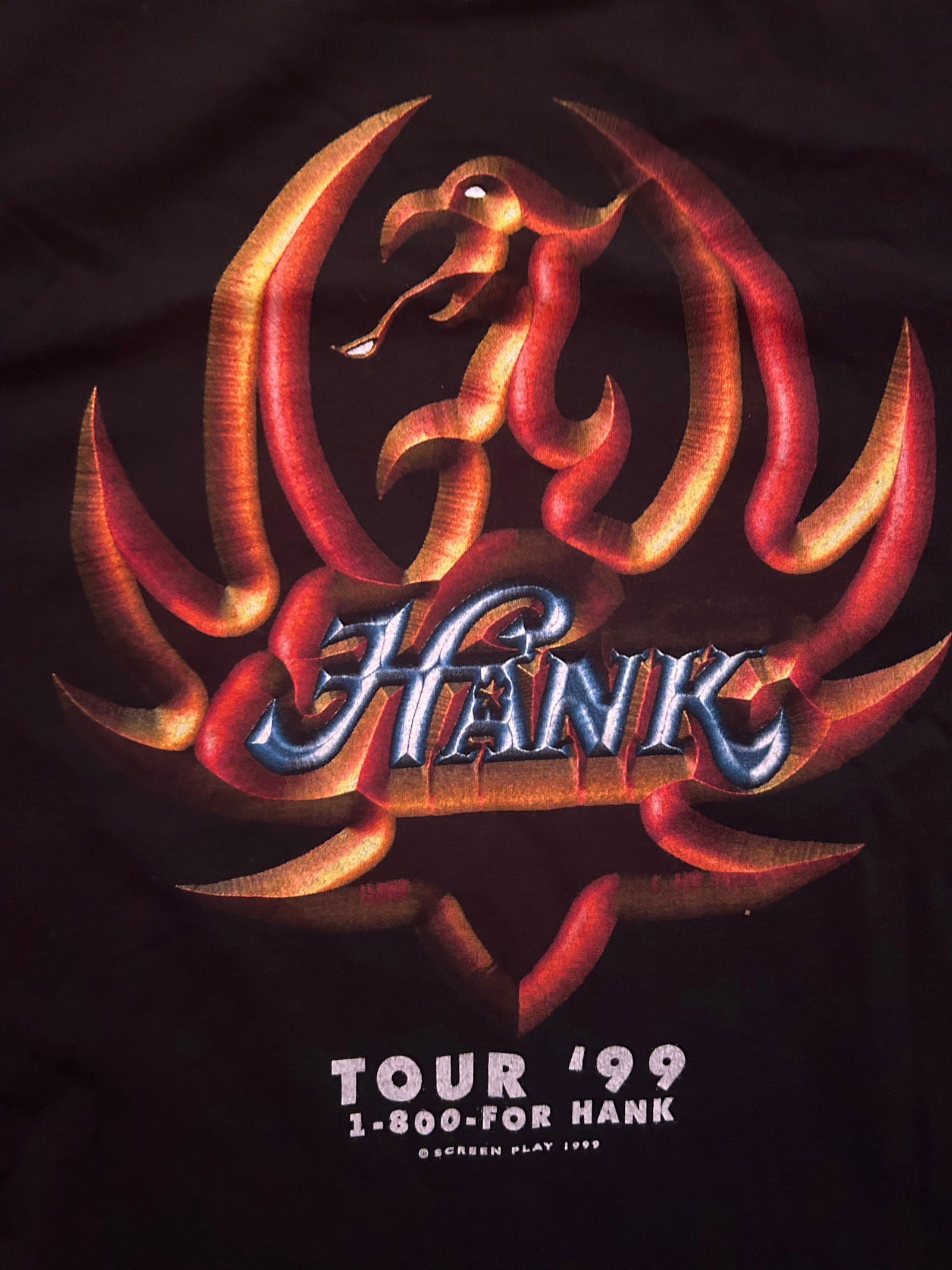 1999 Hank Jr Are Your Ready Tour Tee Size - XL - LFDW