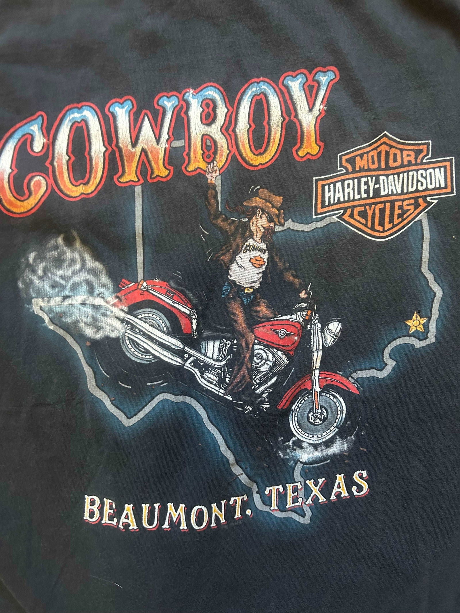 1999 Harley Cowboy Tee Size - Large - LFDW