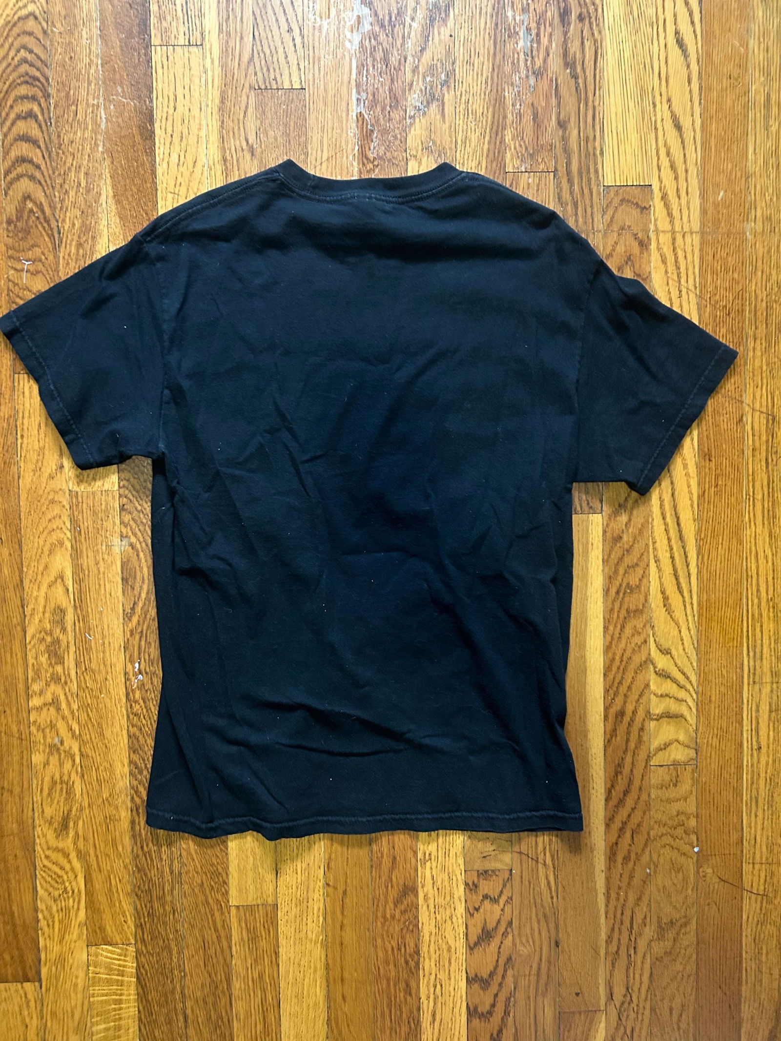 2001 Lynyrd Skynyrd Tee Size - M - LFDW