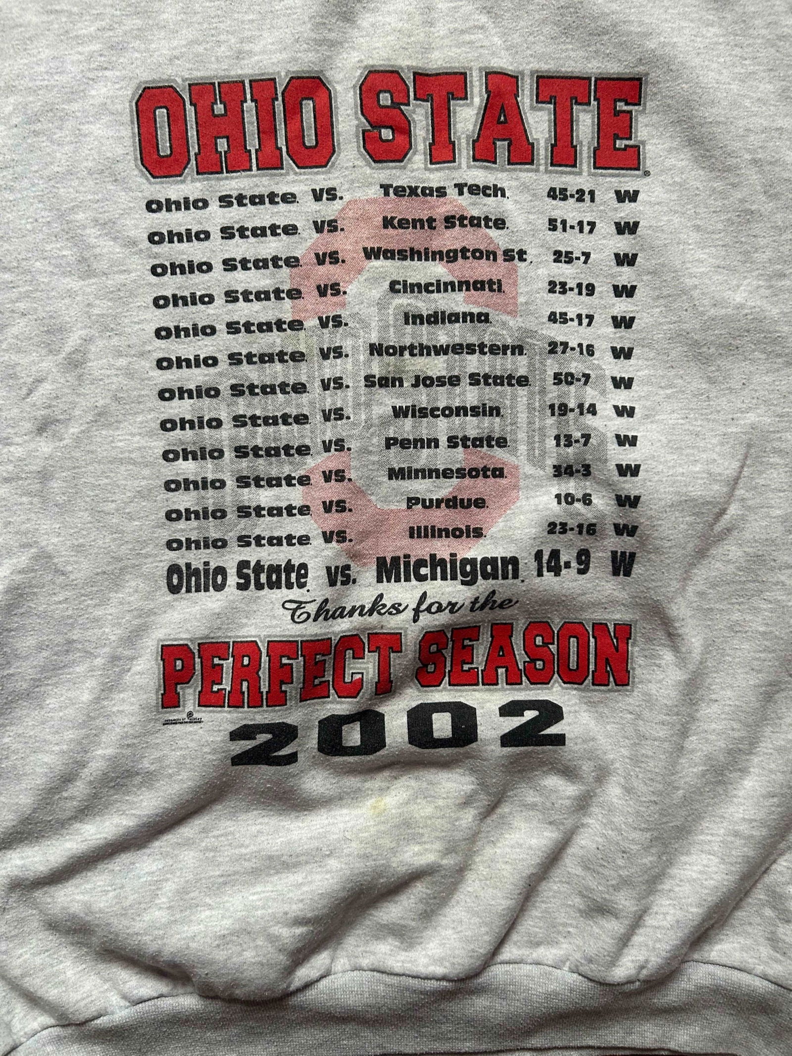2002 Ohio State Crew Neck Size - L - LFDW