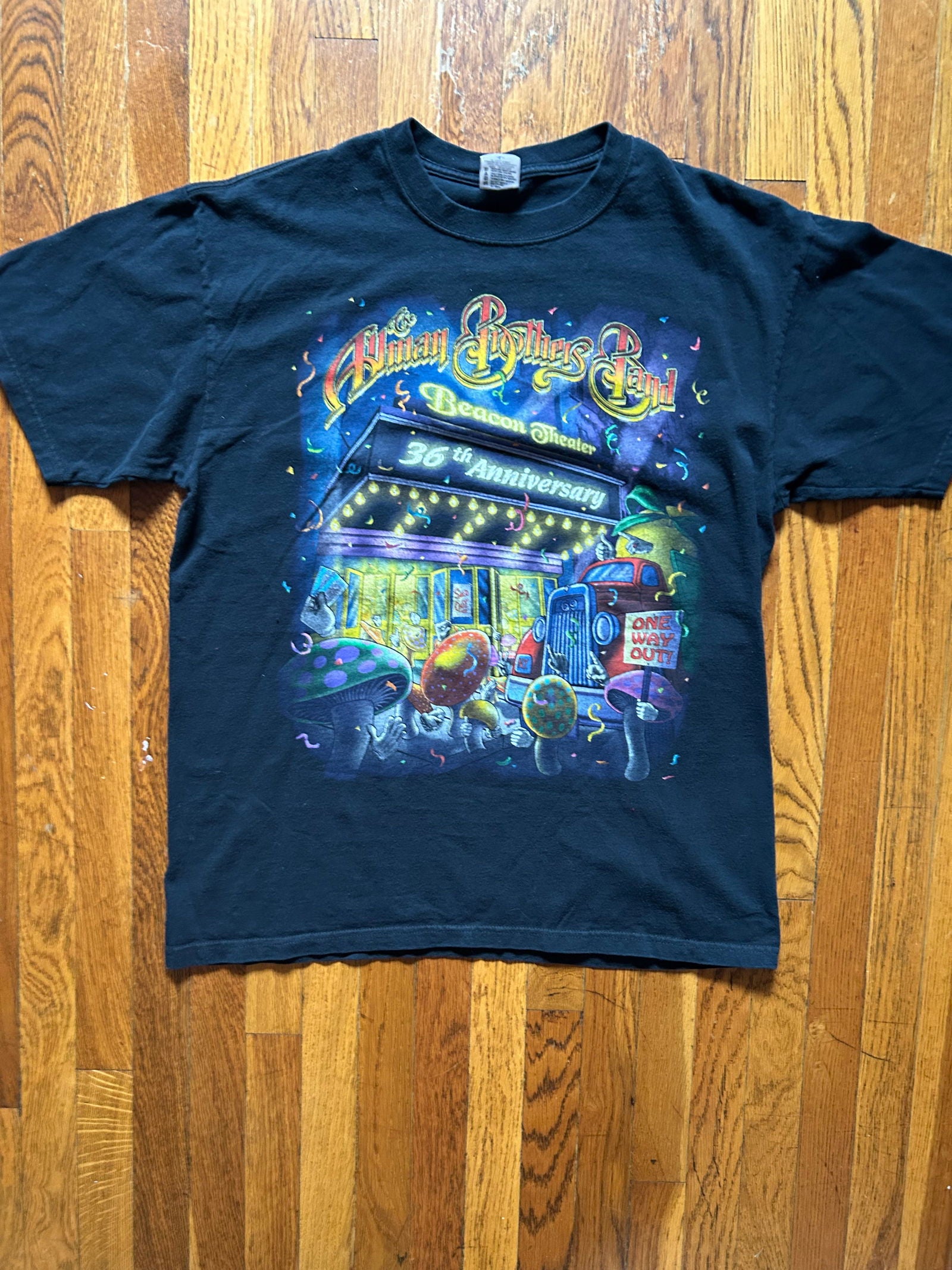 2005 Allman Brothers Beacon Theater Tee Size - L - LFDW