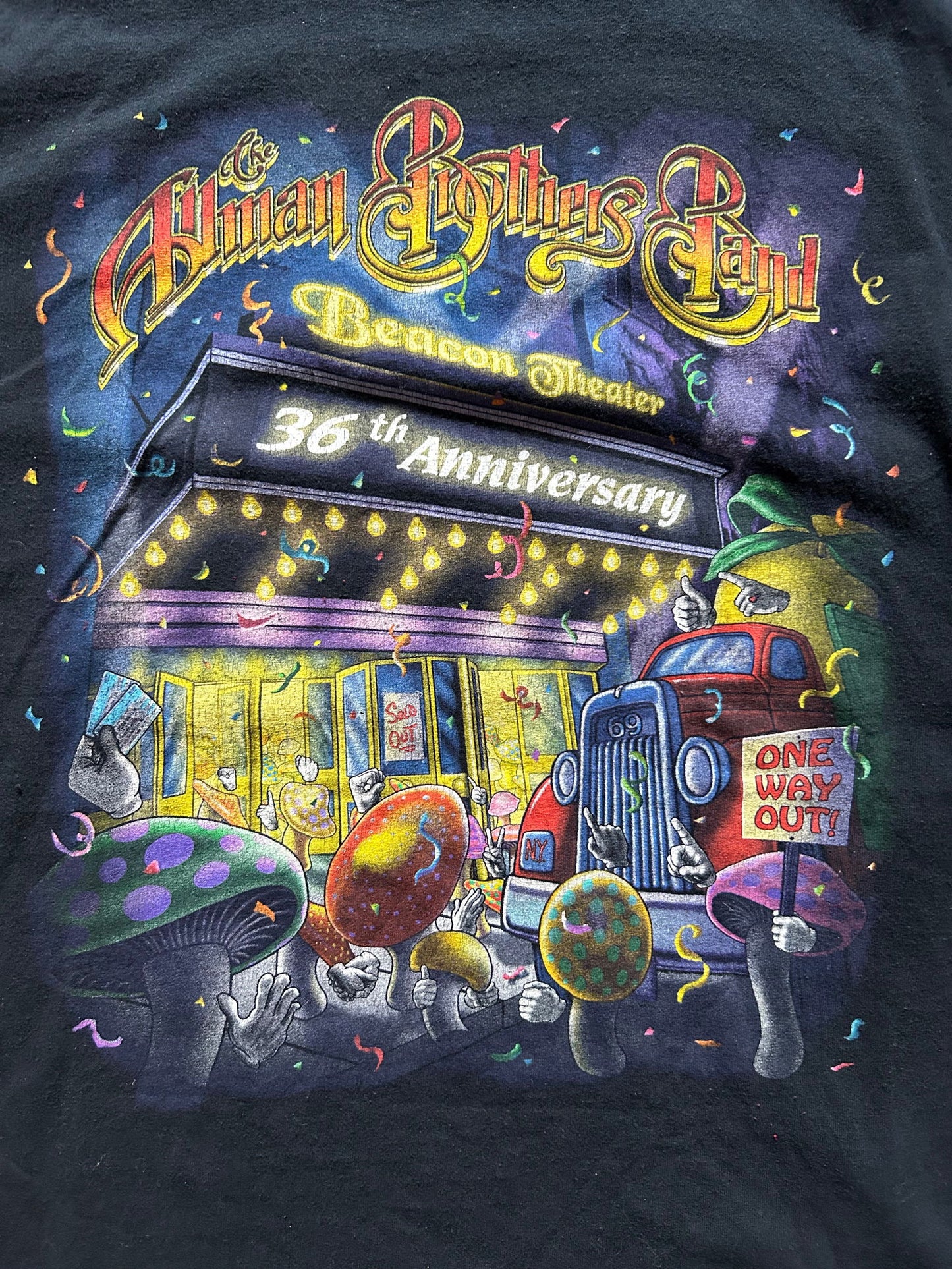 2005 Allman Brothers Beacon Theater Tee Size - L - LFDW