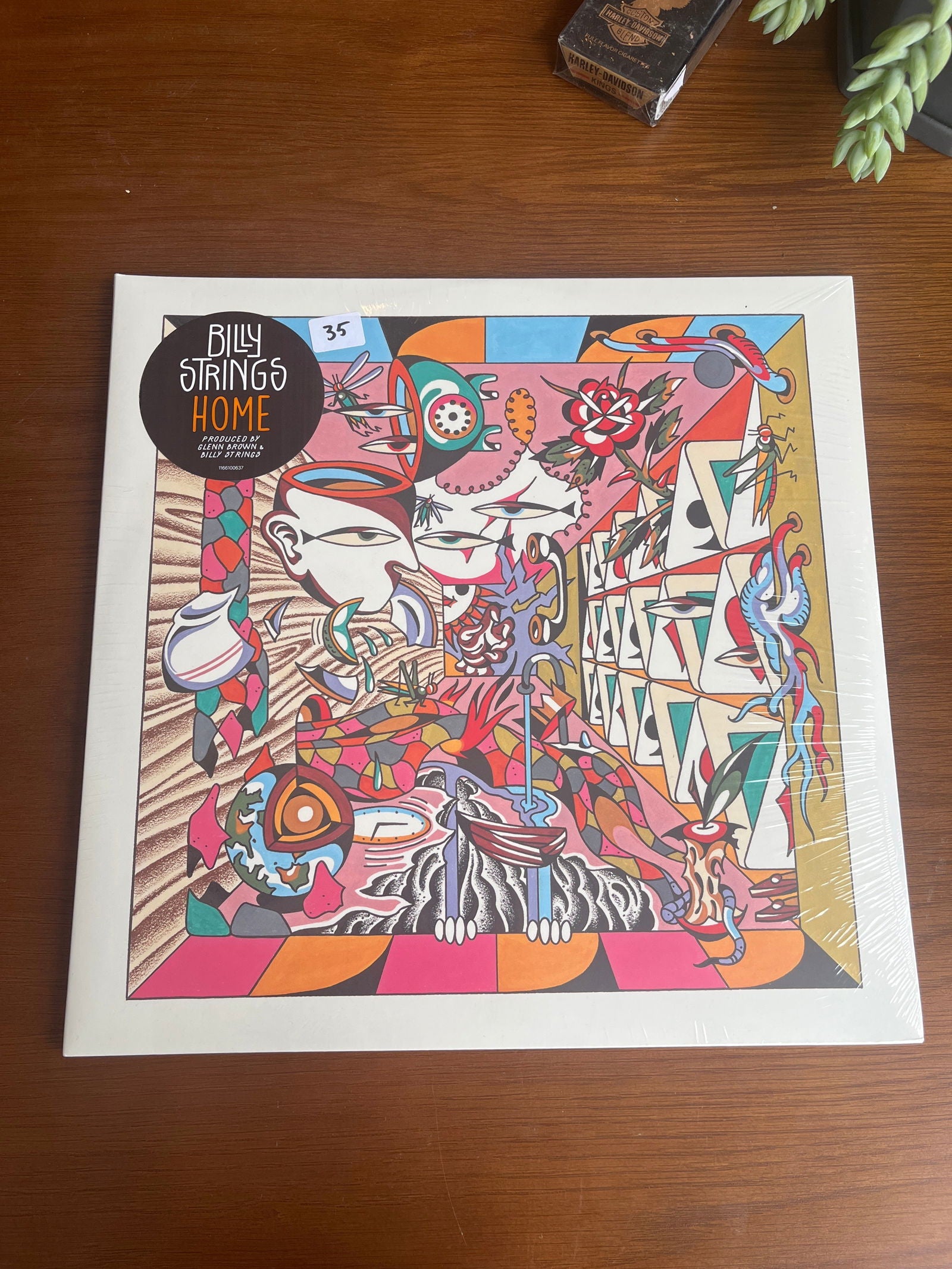 Billy Strings Home Record - LFDW