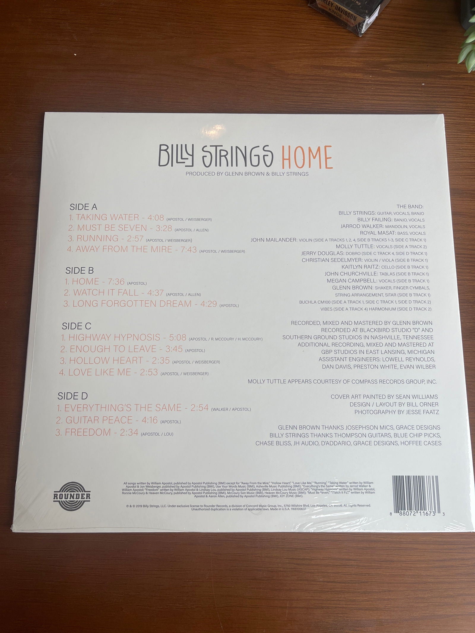 Billy Strings Home Record - LFDW