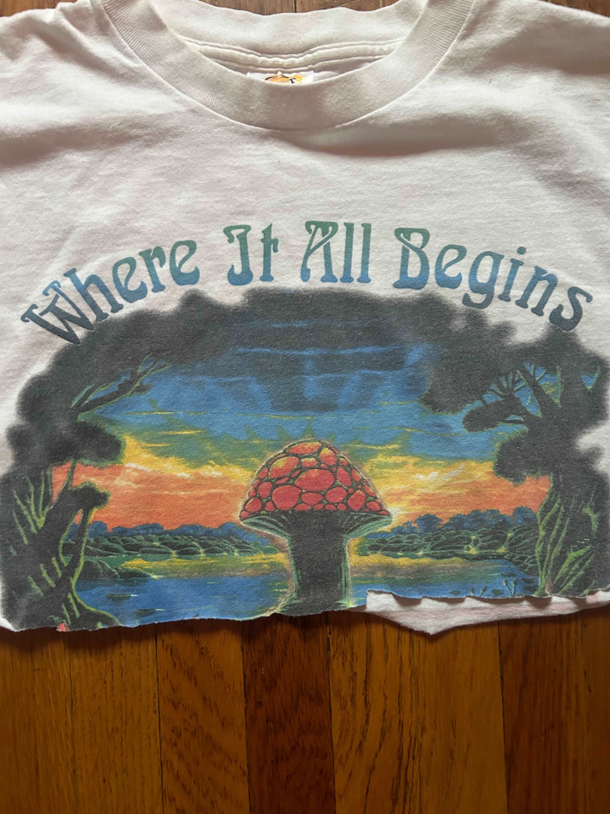 1990s Allman Brothers Crop Top Size - XL