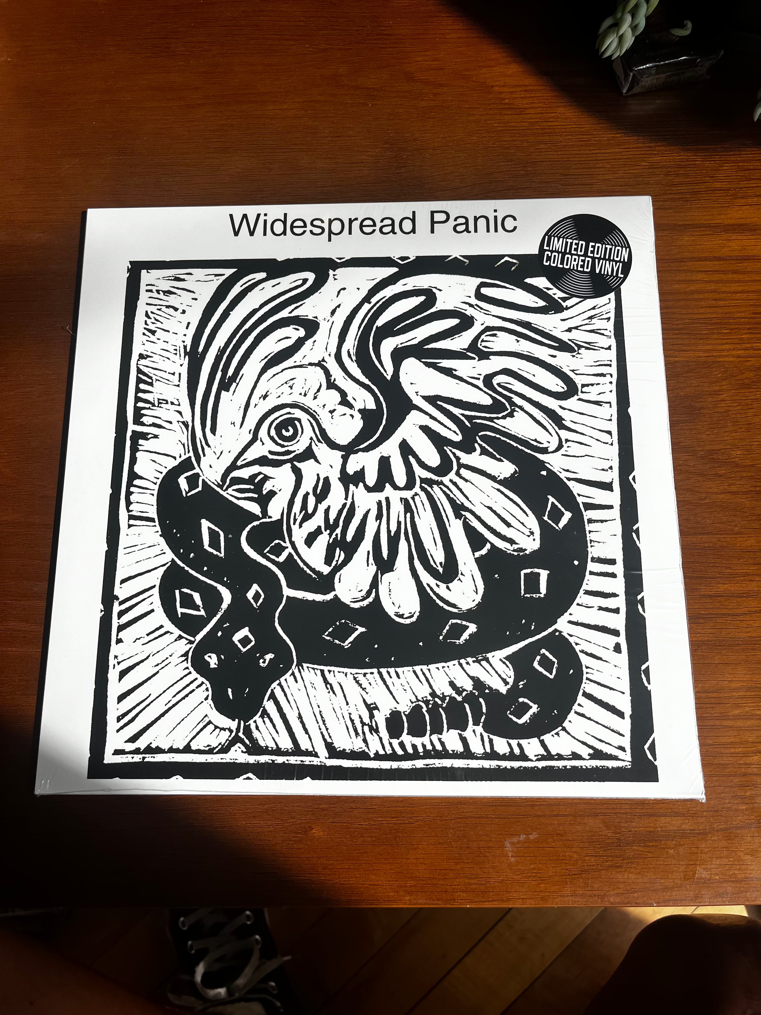 Widespread Panic Record