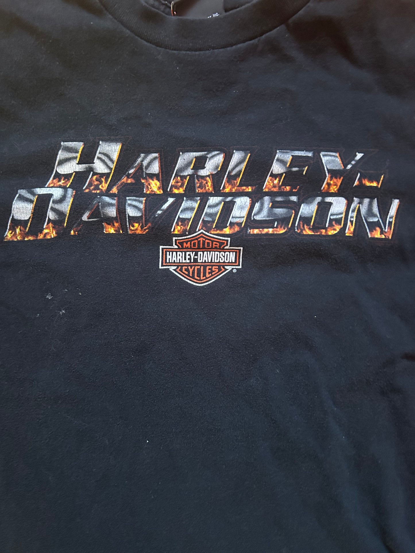 Late ‘90s Wild West Harley Tee Size - M