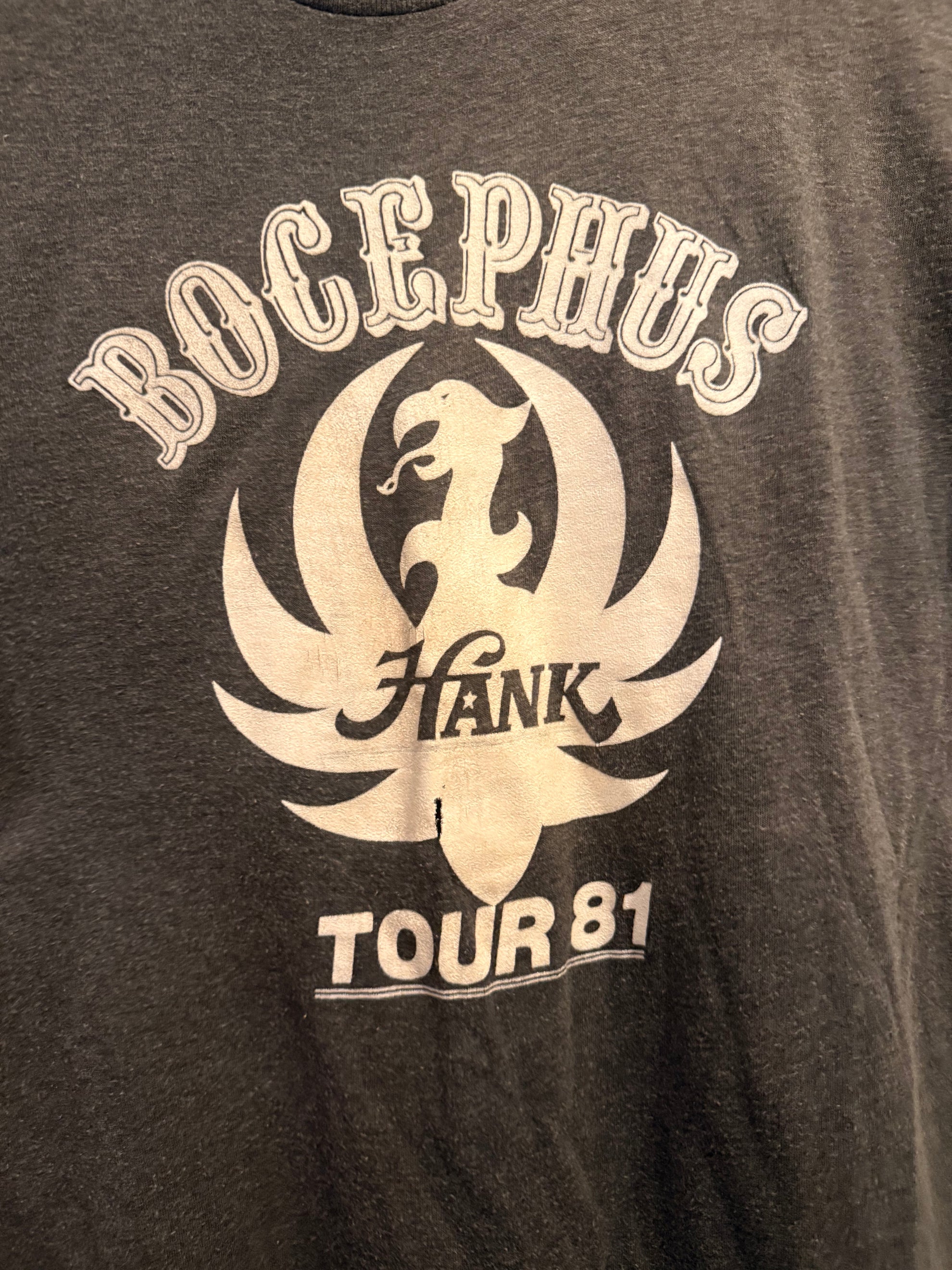 1981 Hank Williams Jr Size- L LFDW