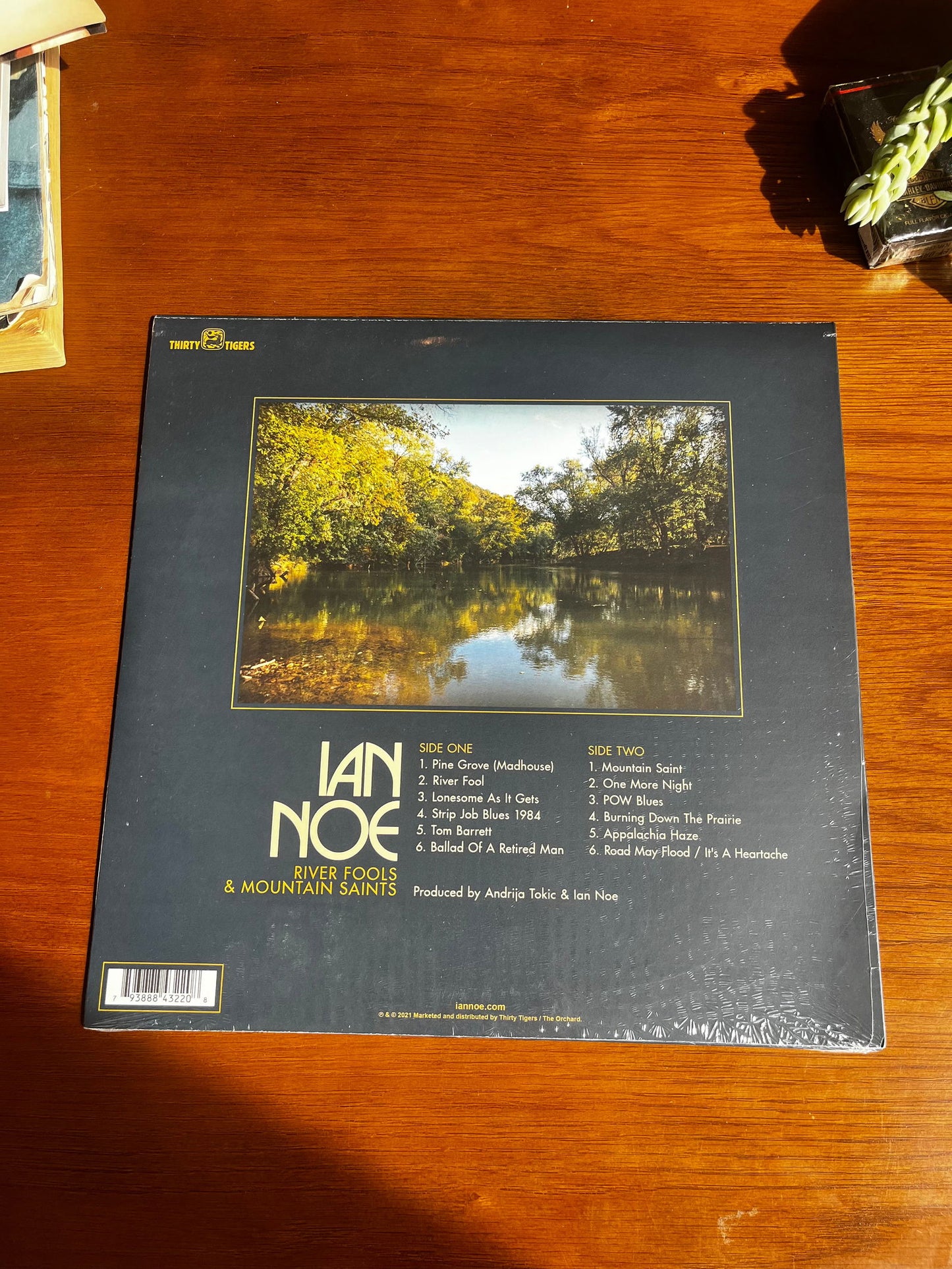 Ian Noe River Fools and Mountain Saints Record - LFDW