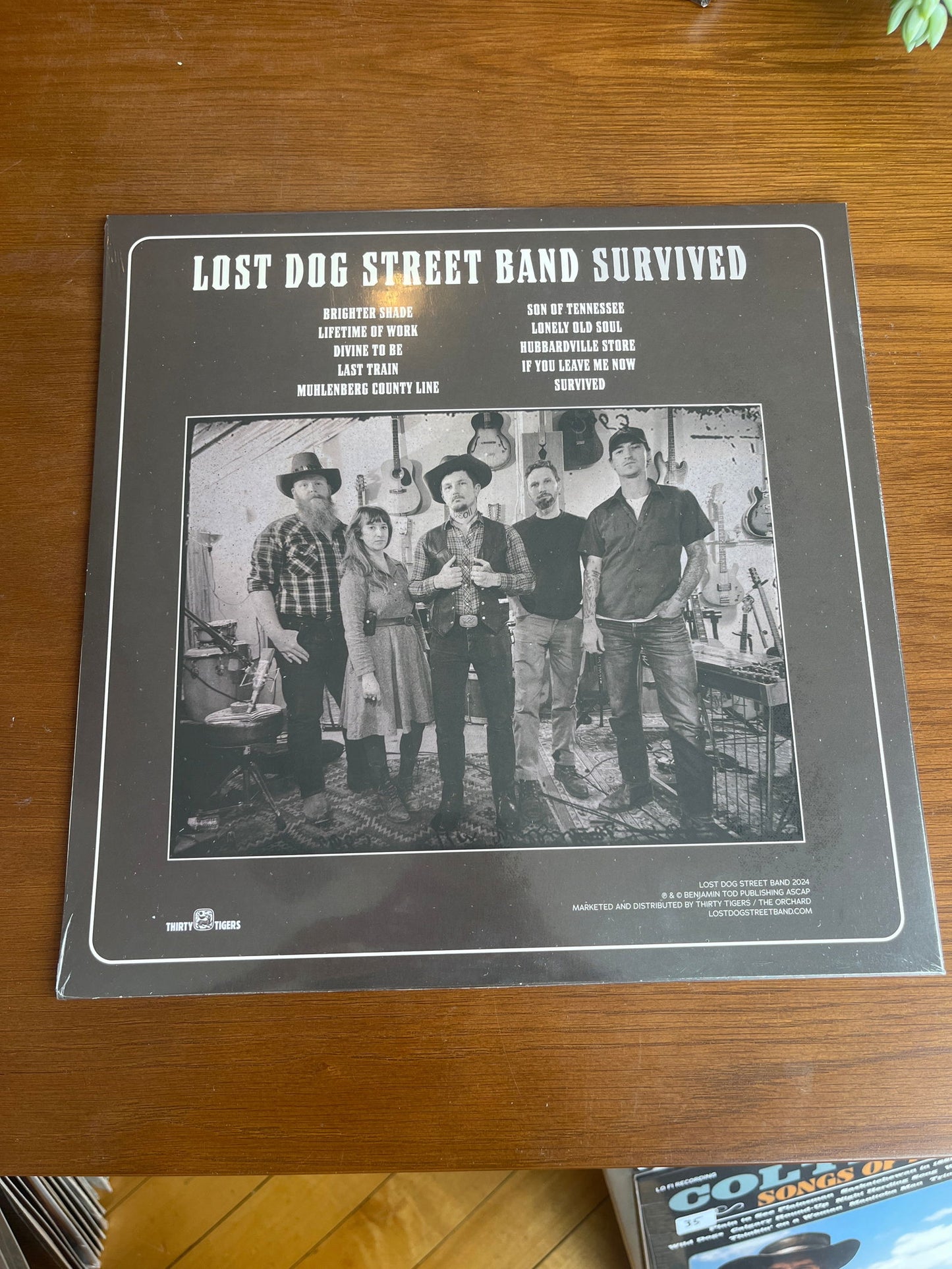 Lost Dog Street Band Survived Record - LFDW