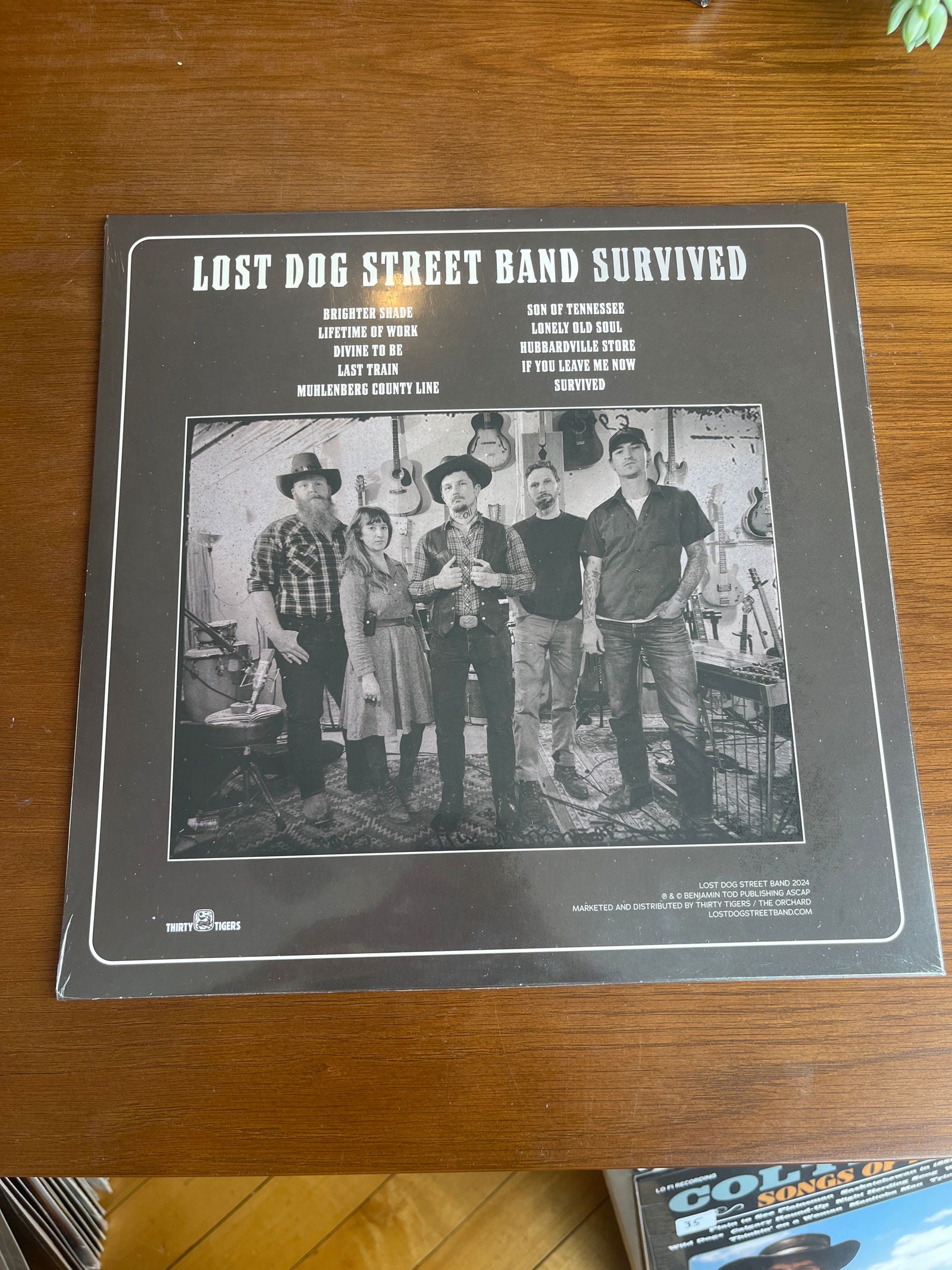 Lost Dog Street Band Survived Record - LFDW