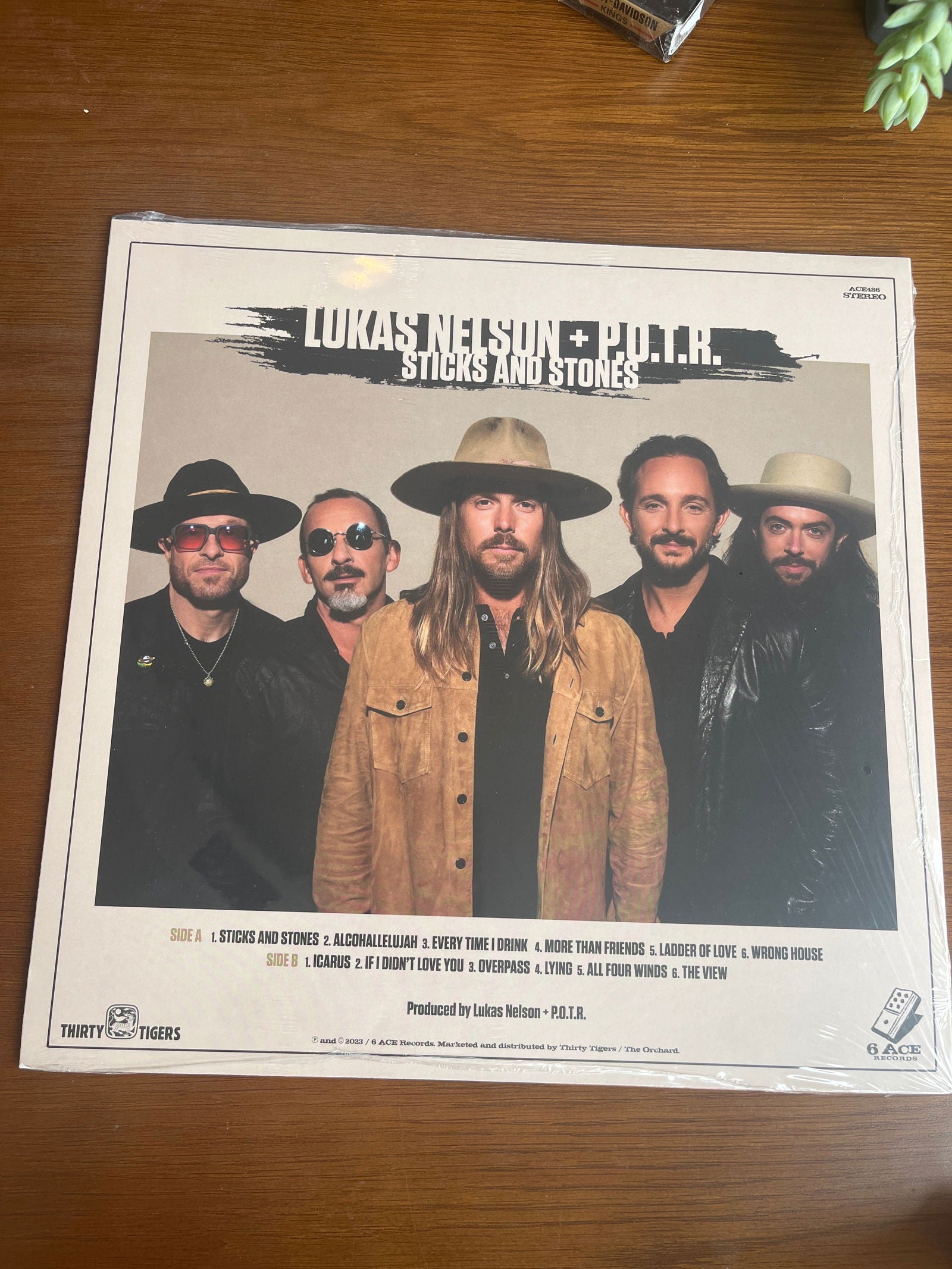 Lukas Nelson And P.O.T.R Sticks And Stones Record - LFDW