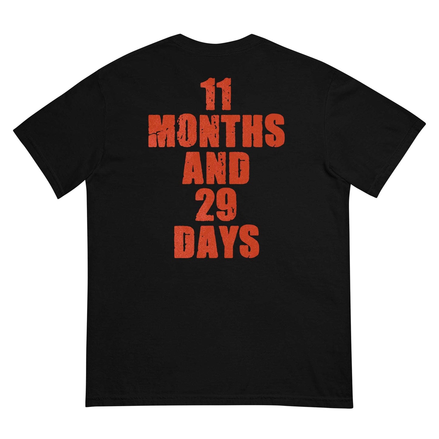 11 Months and 29 Days T-Shirt